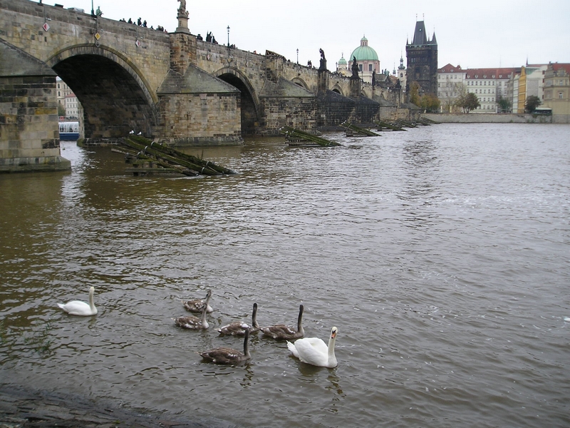 Kampa (04)