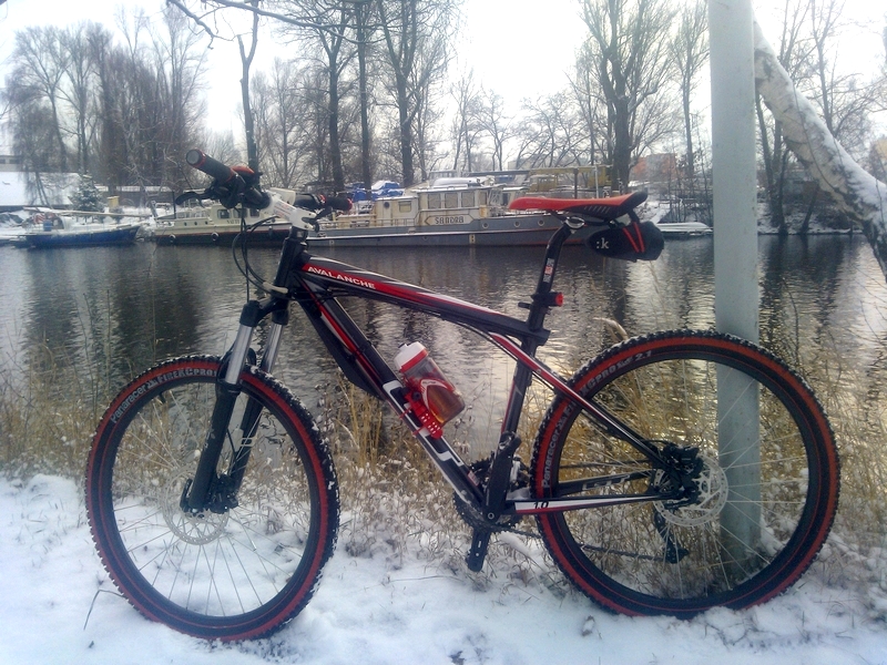 Silvestr (04)