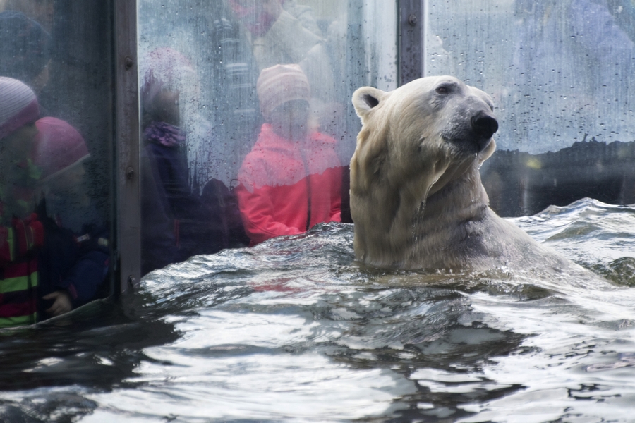 Zoo na jaře (03)