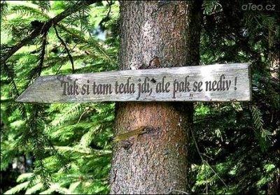 Zábava (08)