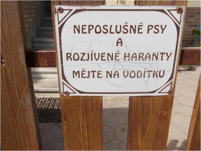 Zábava (09)