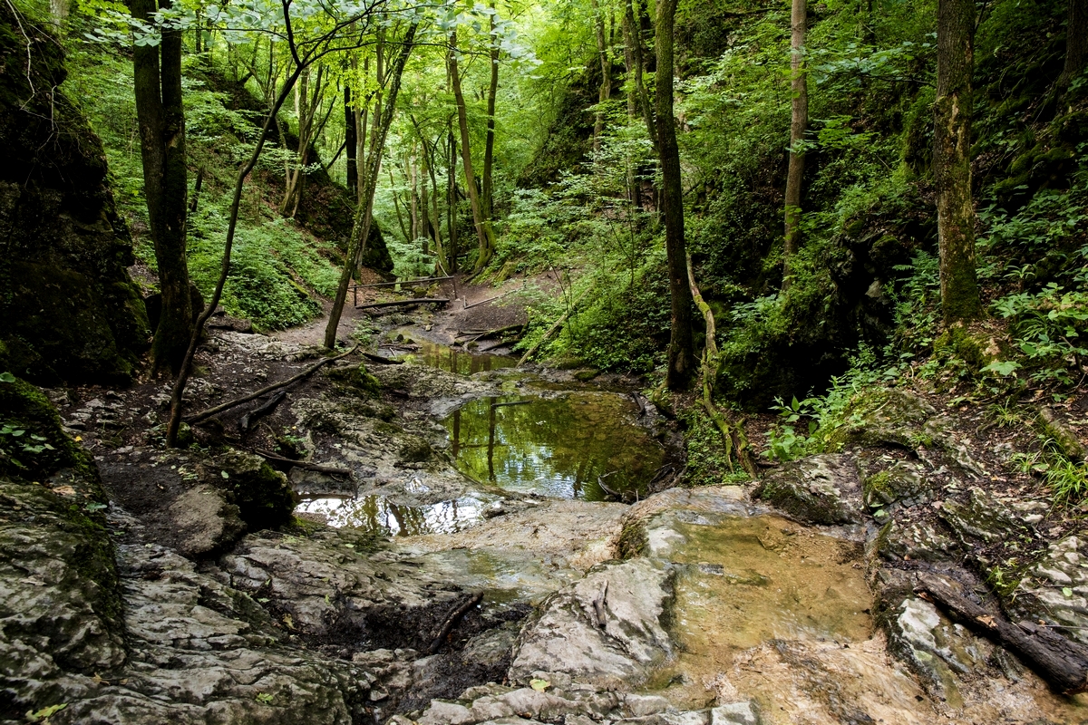 Bubovické vodopády (05)