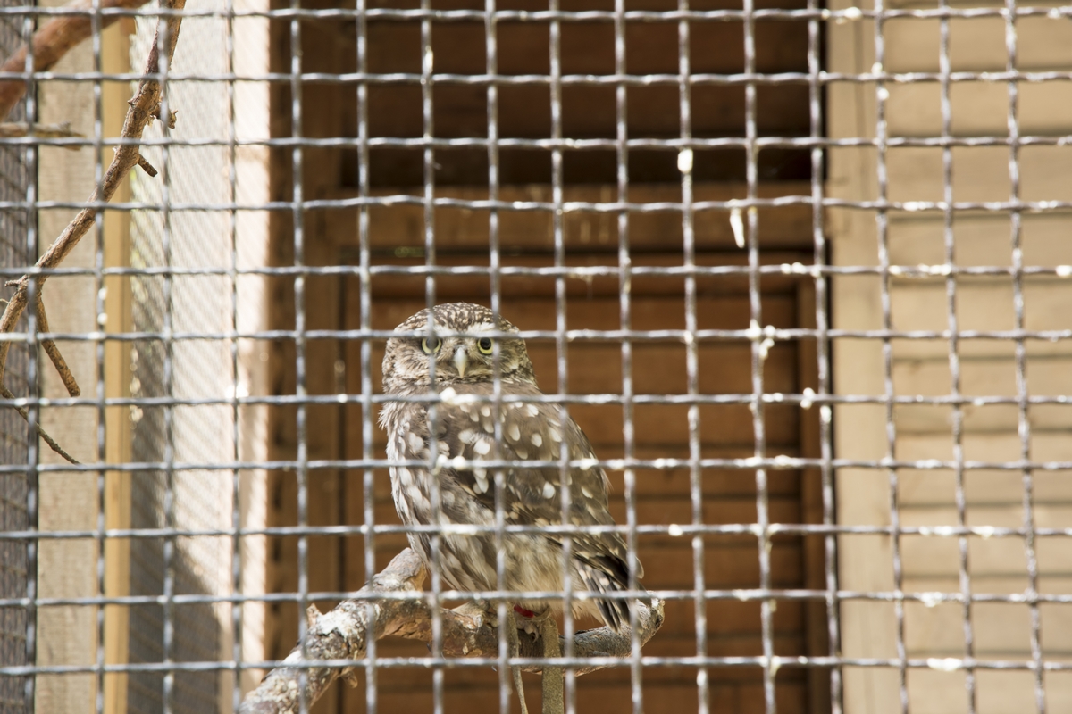 Lesní Zoo v Chuchelském háji (05)