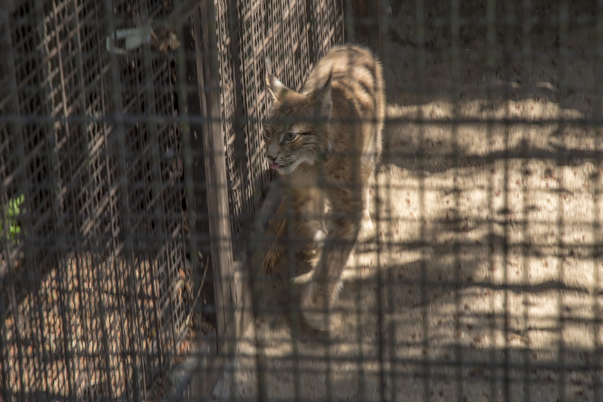 Lesní Zoo v Chuchelském háji (06)