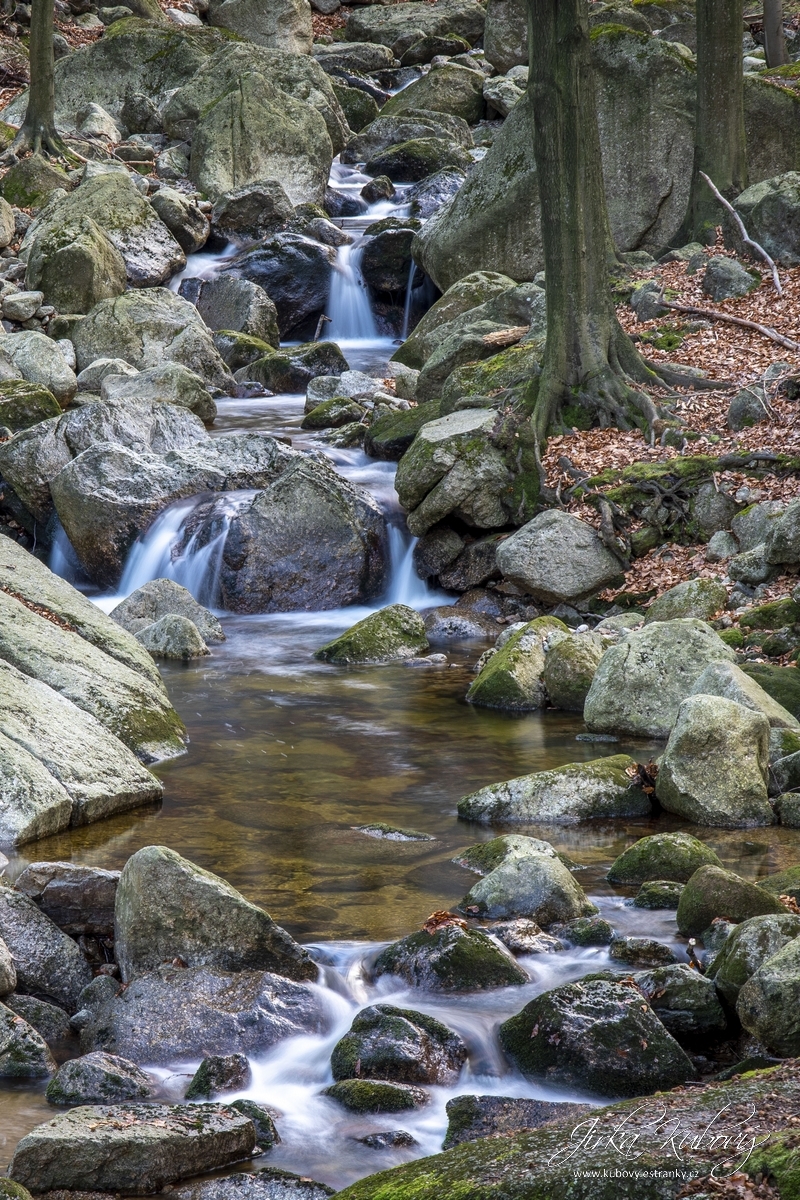 Potůčkovky (04)
