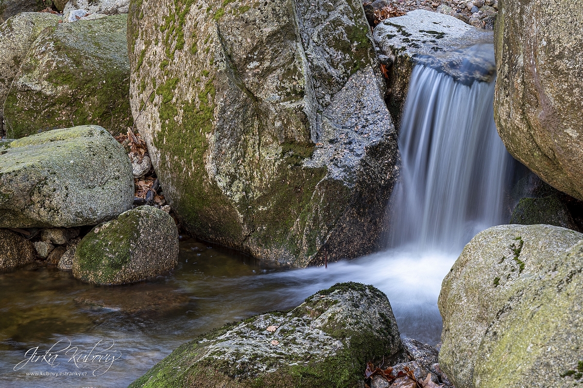 Potůčkovky (10)
