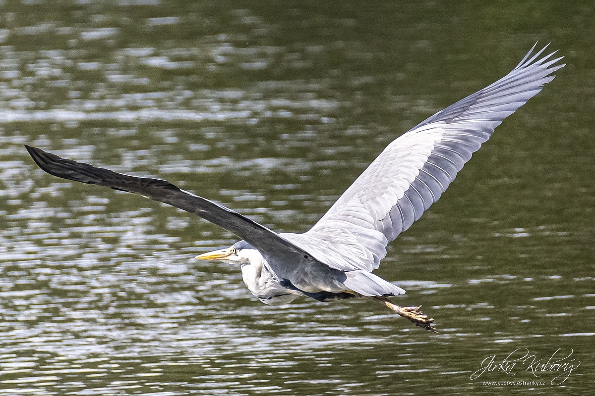 U Vltavy (06)