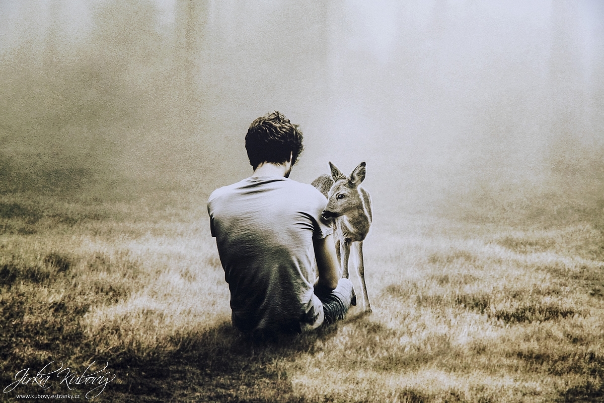 Martin Stranka - Dechem (09)