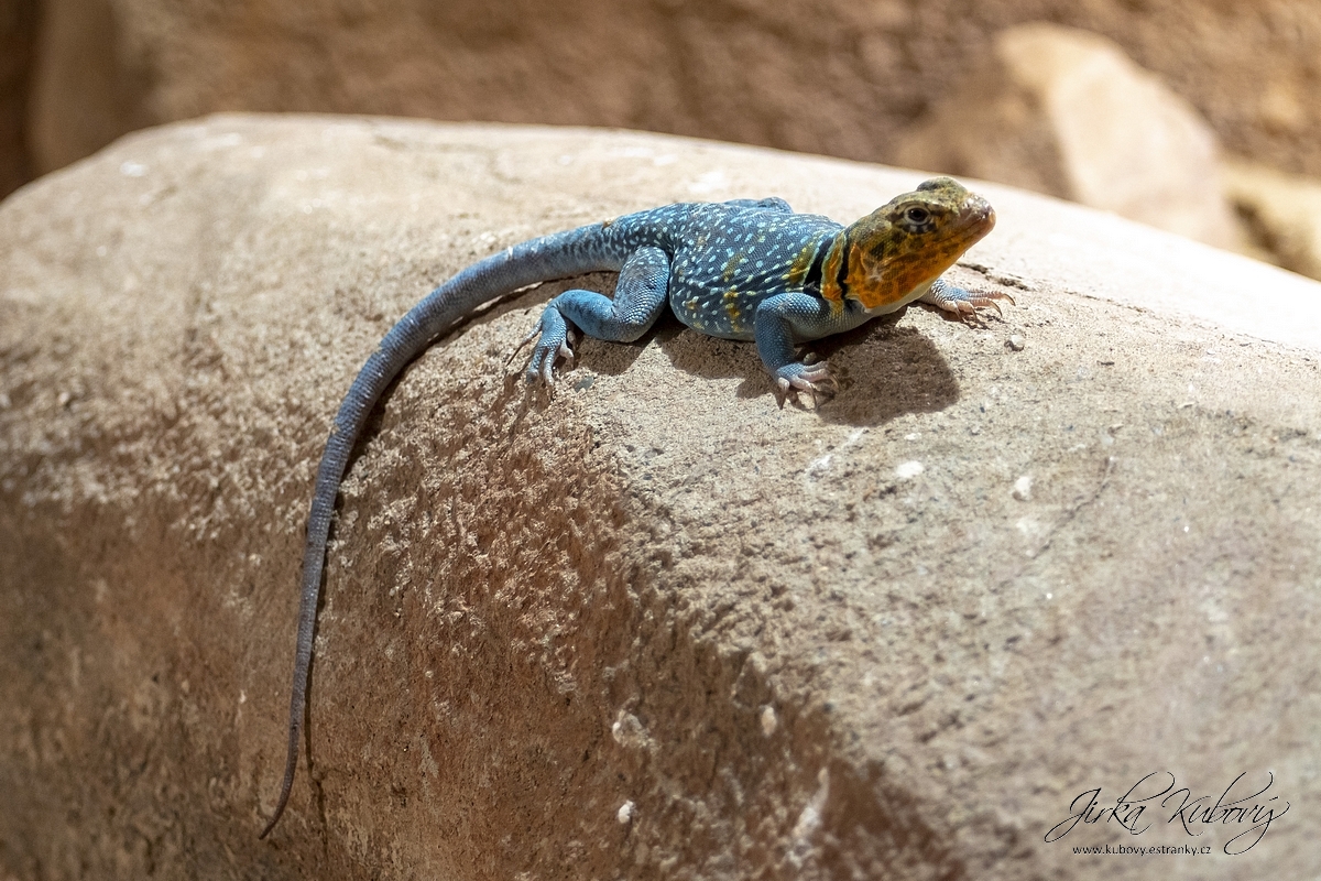 ZOO Praha (05)