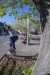 Skateboarding (03)